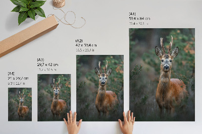 Decorative poster Deer in the forest green background peace nature