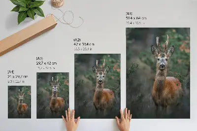 Decorative poster deer in the forest with a green background featuring a peaceful nature scene