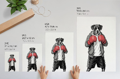 Premium wall art Boxer dog boxing gloves sporty style
