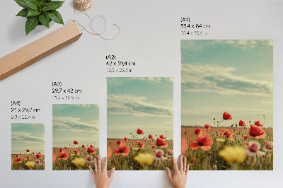 Premium wall art A field of poppies under a blue sky, pastel elegance