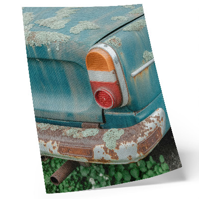 Decorative poster car covered in moss with rust and turquoise accents