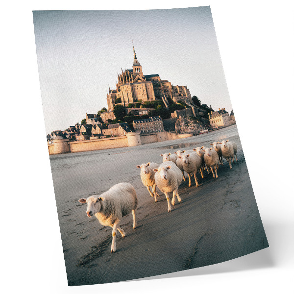 Poster Castle, hill, sheep, sand, peaceful atmosphere