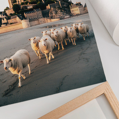 Poster Castle, hill, sheep, sand, peaceful atmosphere