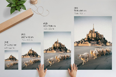 Poster Castle, hill, sheep, sand, peaceful atmosphere