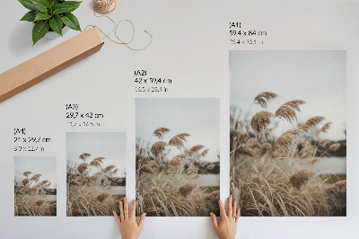 Poster Delicate blades of grass brown gray atmosphere of nature