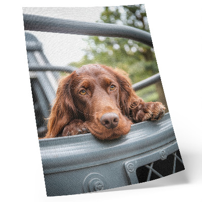 Premium wall art Brown dog by the vehicle green trees