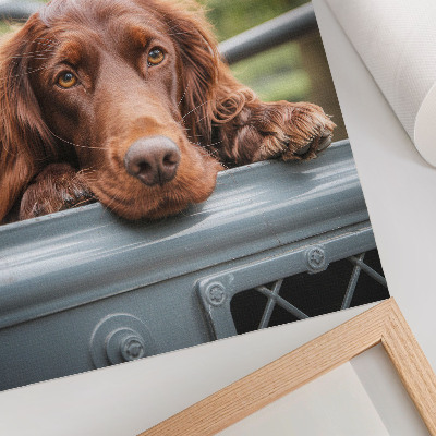 Premium wall art Brown dog by the vehicle green trees