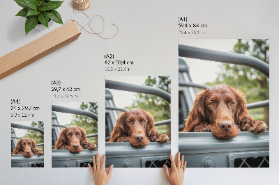 Premium wall art Brown dog by the vehicle green trees