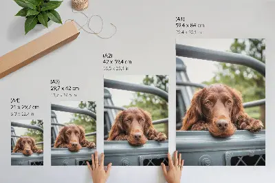 Premium wall art brown dog by the vehicle with green trees