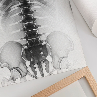Premium wall art Skeleton in black and white