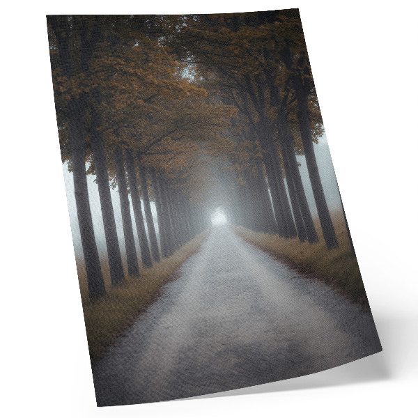 Poster Autumn alley fog symmetrical harmonious composition
