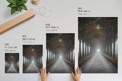 Poster autumn alley with symmetrical foggy composition