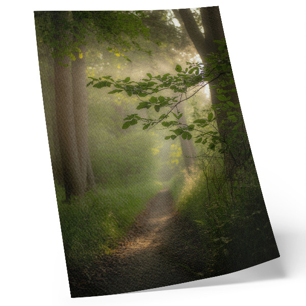 Art print Green leaves, beam of light, forest path