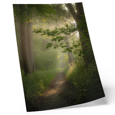 Art print Green leaves, beam of light, forest path