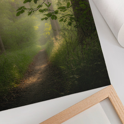 Art print Green leaves, beam of light, forest path