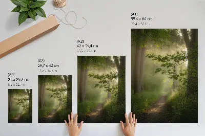 Art print green leaves with a beam of light on a forest path