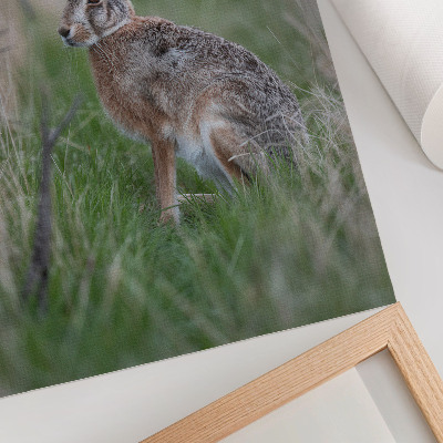 Premium wall art A hare in the grass surrounded by branches and greenery