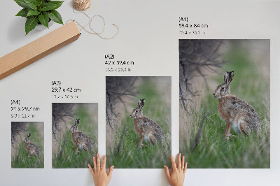 Premium wall art A hare in the grass surrounded by branches and greenery