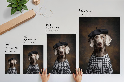 Decorative poster Dog in a beret patterned vest elegance