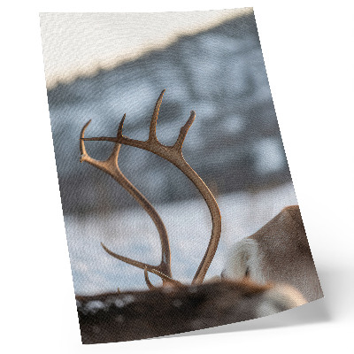Poster Reindeer with antlers winter landscape harmony
