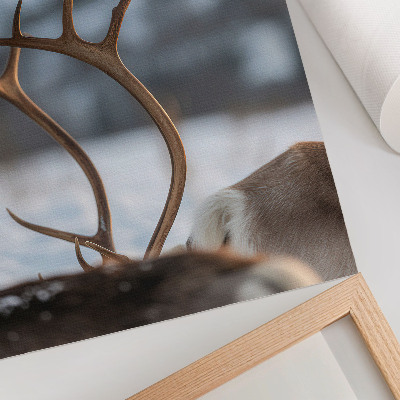 Poster Reindeer with antlers winter landscape harmony
