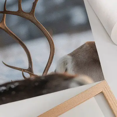 Reindeer poster with antlers in a winter landscape
