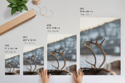 Poster Reindeer with antlers winter landscape harmony