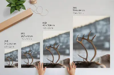 Reindeer poster with antlers in a winter landscape