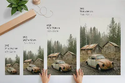 Premium wall art rusty car outside a wooden shed in a green forest