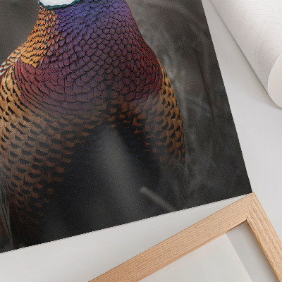 Poster Colorful pheasant feathers intense colors peace