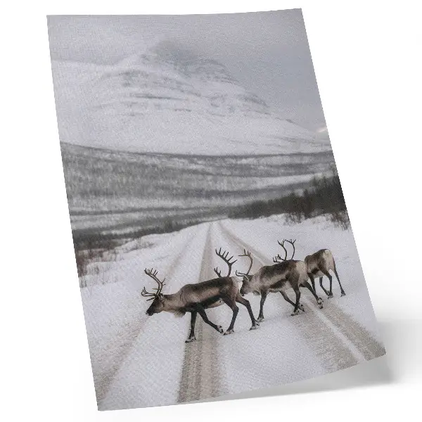 Art print reindeer on a snowy mountain road in winter