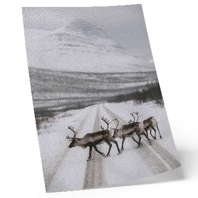 Art print reindeer on a snowy mountain road in winter