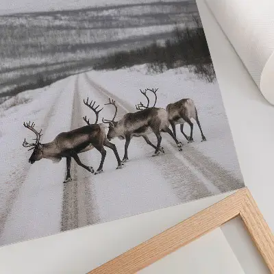 Art print reindeer on a snowy mountain road in winter