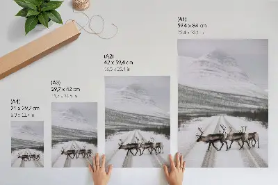 Art print reindeer on a snowy mountain road in winter