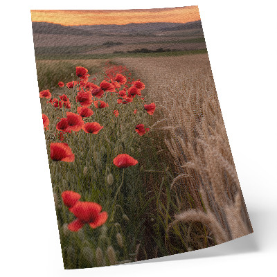 Decorative poster Poppies sunset nature color harmony