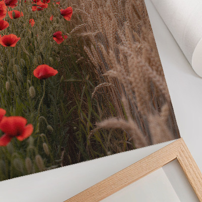 Decorative poster Poppies sunset nature color harmony