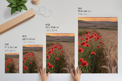 Decorative poster Poppies sunset nature color harmony