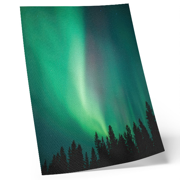 Decorative poster Aurora green trees night magical nature