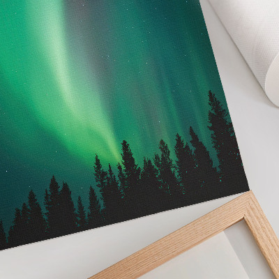 Decorative poster Aurora green trees night magical nature