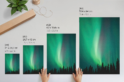 Decorative poster Aurora green trees night magical nature