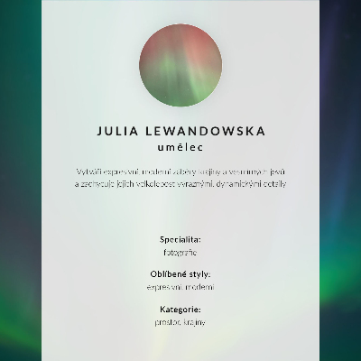 Premium wall art Aurora Borealis over a night landscape full of stars