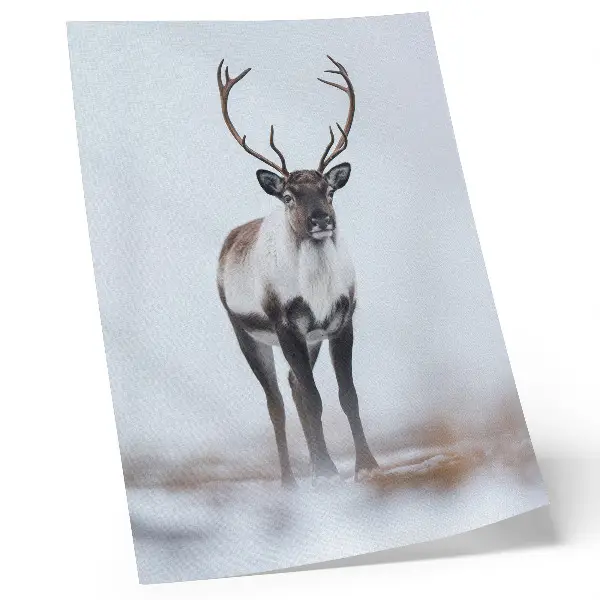 Decorative poster reindeer in a winter scenery with warm shades