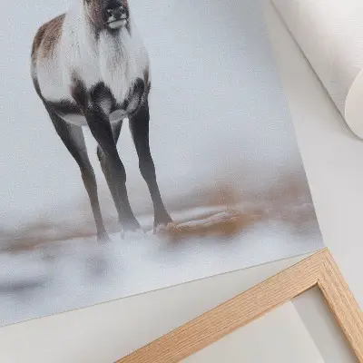Decorative poster reindeer in a winter scenery with warm shades