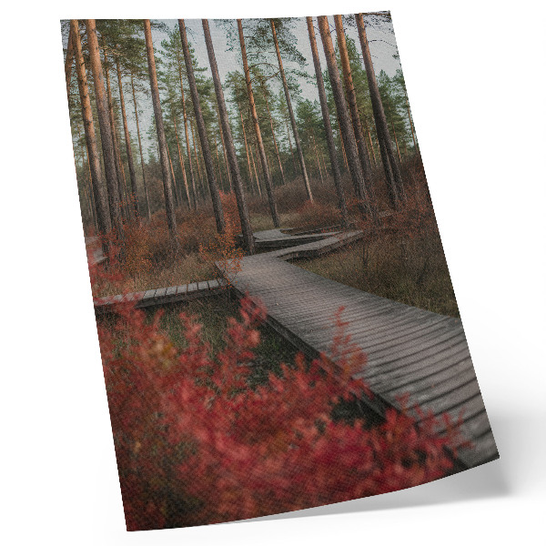 Premium wall art Wooden path forest trees autumn colors