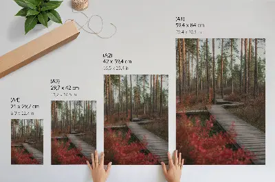 Premium wall art wooden path through an autumn forest with colorful trees
