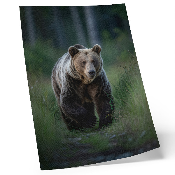 Poster A proud bear in a forest setting