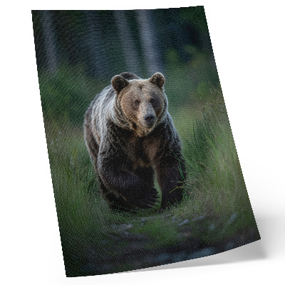 Poster A proud bear in a forest setting