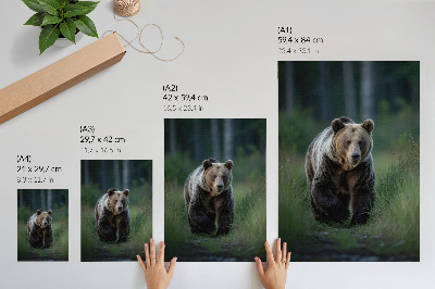 Poster A proud bear in a forest setting