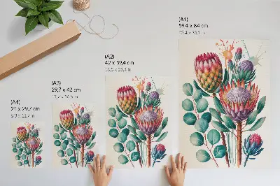 Poster with exotic protea flowers and green leaves