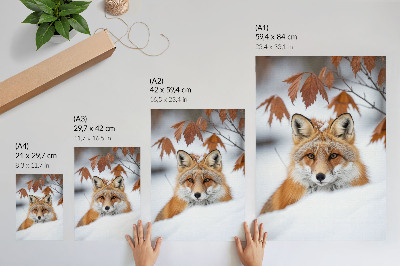 Art print Fox in a winter landscape, natural beauty and contrast